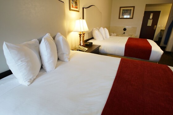 Online Booking EPS - photo 10