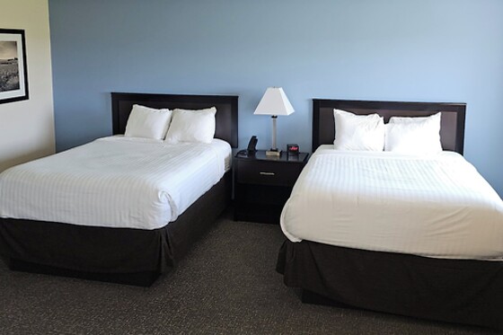 Online Booking EPS - photo 6