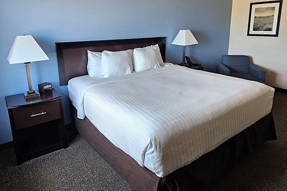 Online Booking EPS - photo 10