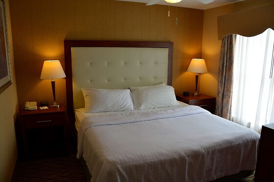 Online Booking EPS - photo 10