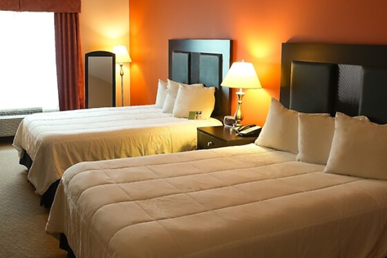 Online Booking EPS - photo 4