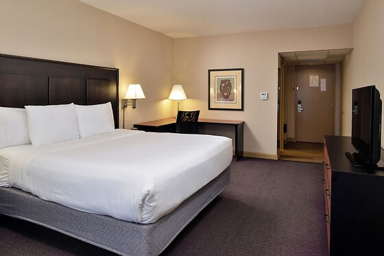 Online Booking EPS - photo 11