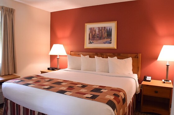 Online Booking EPS - photo 3