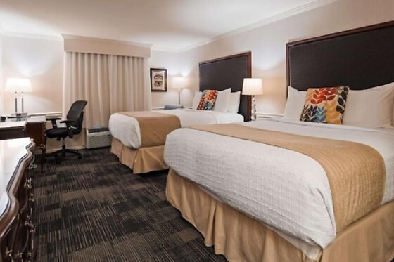 Online Booking EPS - photo 8