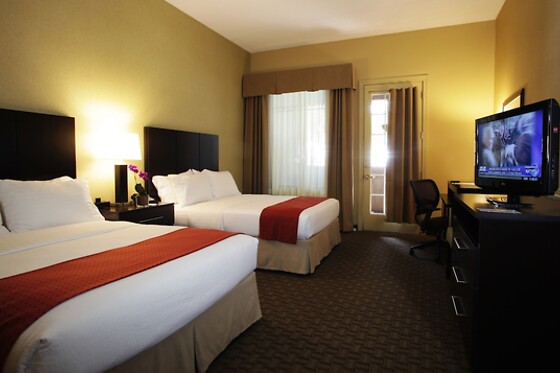 Online Booking EPS - photo 3