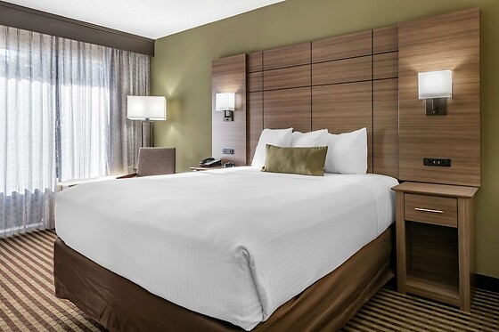 Online Booking EPS - photo 10