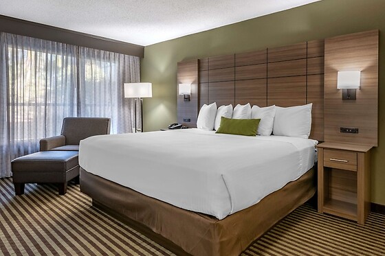 Online Booking EPS - photo 7