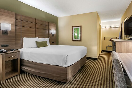 Online Booking EPS - photo 5