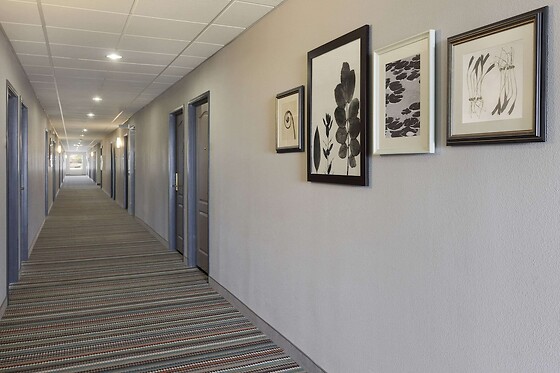 Online Booking EPS - photo 2