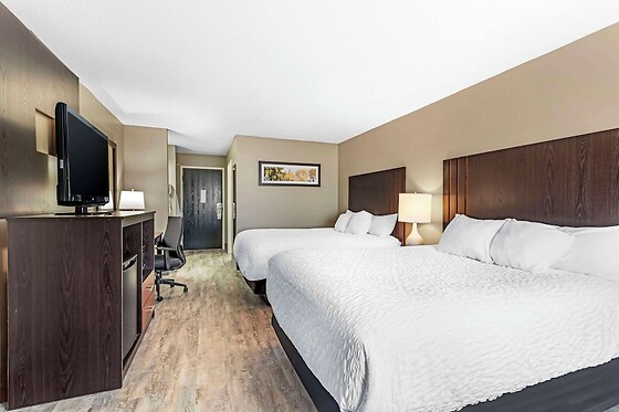 Online Booking EPS - photo 8