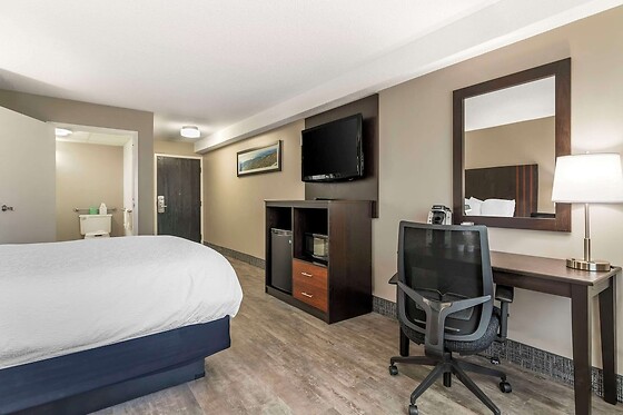 Online Booking EPS - photo 7