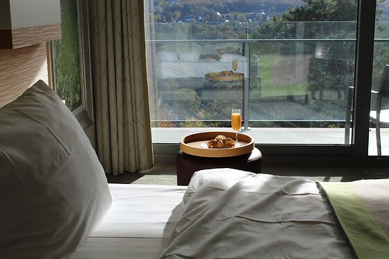 Online Booking EPS - photo 2
