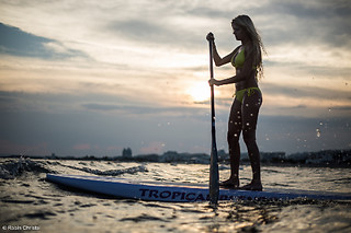 Stand up Paddle with Sea Lions at Fun Surf LA, Marina del Rey