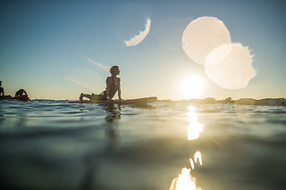 Stand up Paddle with Sea Lions at Fun Surf LA, Marina del Rey