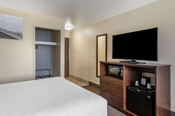 Online Booking EPS - photo 5