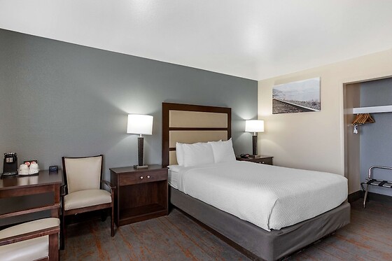 Online Booking EPS - photo 4