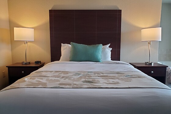 Online Booking EPS - photo 3