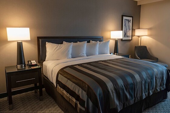 Online Booking EPS - photo 7