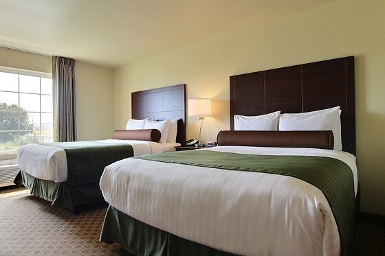 Online Booking EPS - photo 10