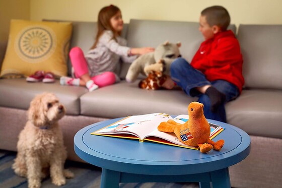 Online Booking EPS - photo 8