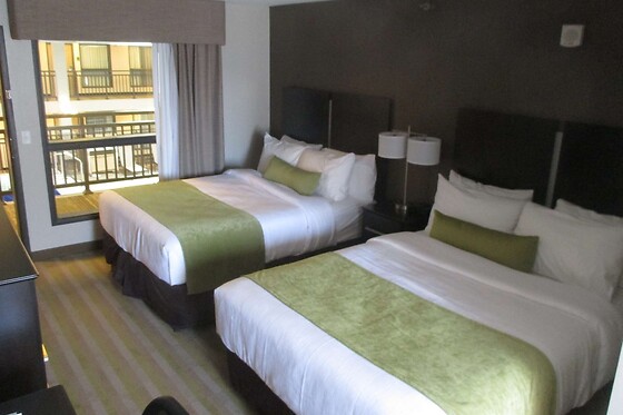 Online Booking EPS - photo 3