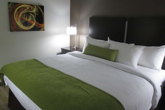 Online Booking EPS - photo 8