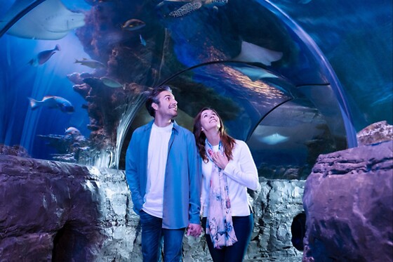 Sea Life Orlando