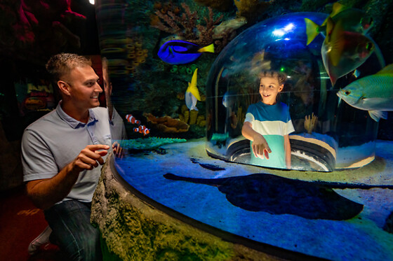 Sea Life Orlando