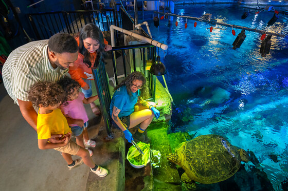 Sea Life Orlando