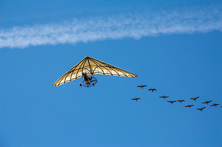 Merry Christmas Exceptional