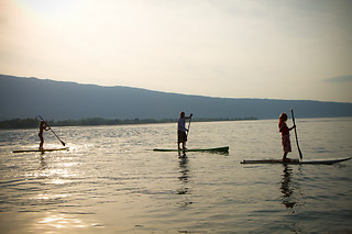 Stand up Paddle with Sea Lions at Fun Surf LA, Marina del Rey