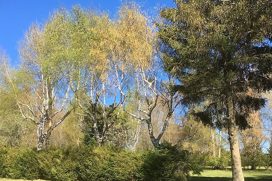 Online Booking EPS - photo 4