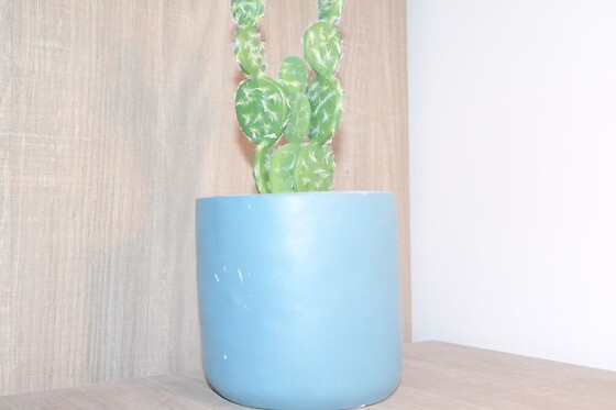 Online Booking EPS - photo 8