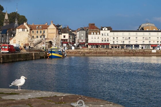 Online Booking EPS - photo 0