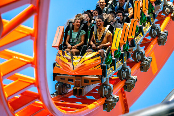 Theme Parks Florida