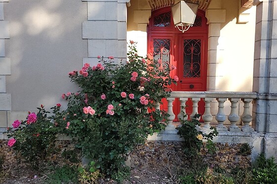 Online Booking EPS - photo 0