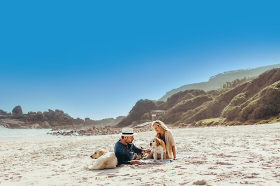 Pet-Friendly Getaway
