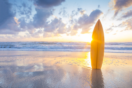 1-hour beginner private surf lesson at Surfs Up NY