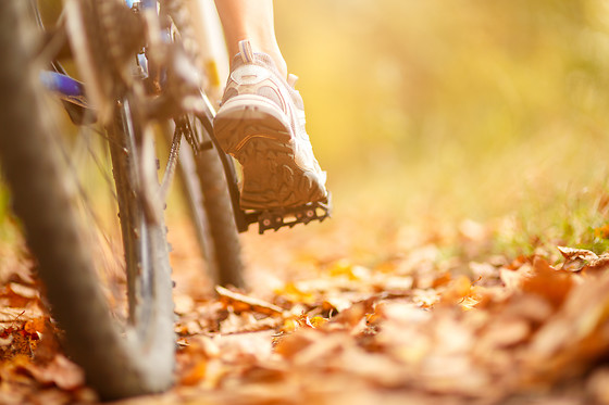 Central Park Bike Ride and Yoga for 6 people