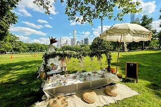 Alice in wonderland tea party for 8 people