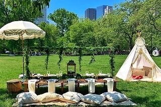 Alice in wonderland tea party for 8 people