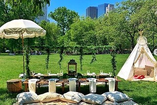 Alice in wonderland tea party for 8 people