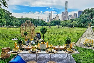 Alice in wonderland tea party for 8 people