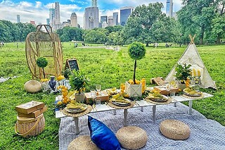 Alice in wonderland tea party for 8 people