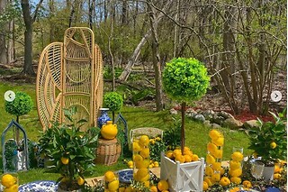 Alice in wonderland tea party for 8 people