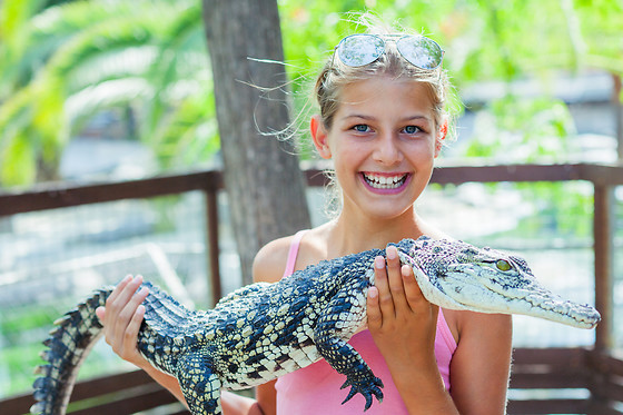 Experience Pass Florida