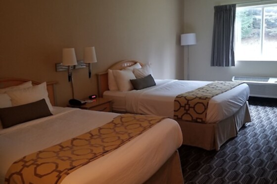 Online Booking EPS - photo 6