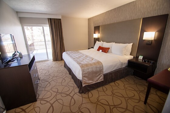 Online Booking EPS - photo 5