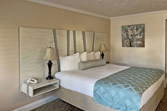 Online Booking EPS - photo 3