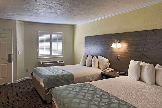 Online Booking EPS - photo 5